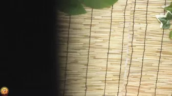 DLEE-513 01 Sea house toilet voyeur: bikini take off and naked pissing