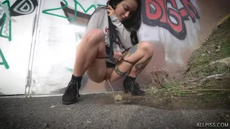 Scene 130, Hidden-Zone WC, PissRIP Scene 130, Hidden-Zone WC, PissRIP