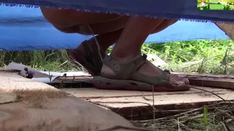 rock festival toilet