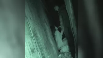 Galician Clip 503-505, Videos Public Sex, PissRIP Galician Clip 503-505, Videos Public Sex, PissRIP