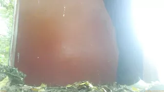 Beer Festival Summary 0098