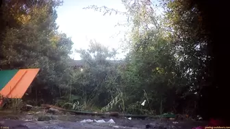 Rock Festival Summary 0381