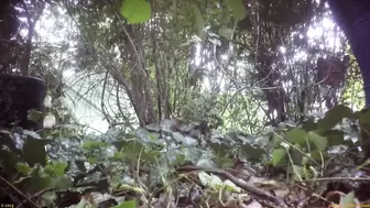 Street Festival Summary 0185