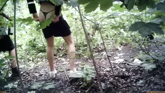 Street Festival Summary 0185