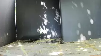 Street Festival Summary 0185