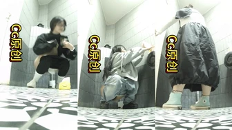Womens Toilet In a Bar, PissWC, PissRIP