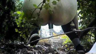 Street Festival Summary 0227