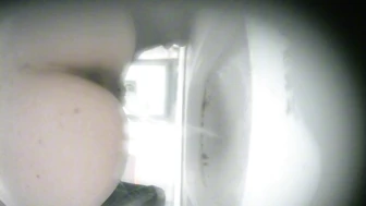 Panoramic view front and back double angles of white tiger (3) 10V