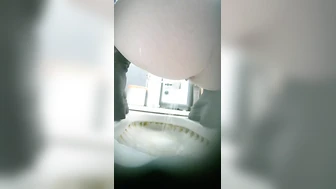 Womens Toilet In a Bar 7