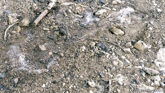 Alexa Throat - Pissing Scene