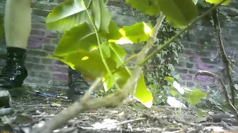 Street Festival Summary 0229