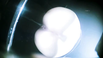 Beauties Galore (Part 7)