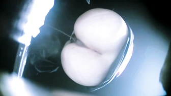 Beauties Galore (Part 6)