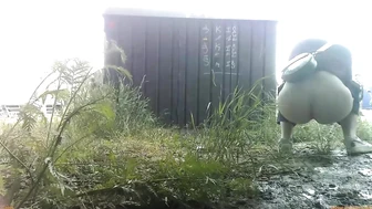 Rock Festival Summary 0402