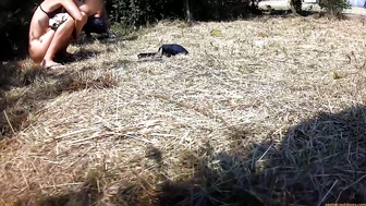 Rock Festival Summary 0398