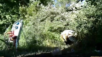 Rock Festival Summary 0406