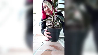 Pissomojado - Pissing Compilation 08