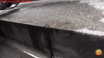 DLEE-245 01 Office Desperation and Accidents