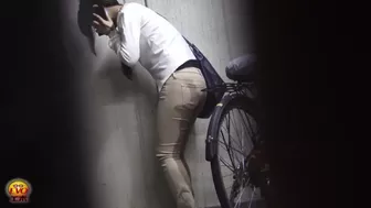 DLEE-151 03 Women caught leaking in pants in public toilet. VOL.2, , DesperVids DLEE-151 03 Women caught leaking in pants in public toilet. VOL.2, , DesperVids