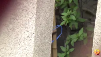 DLEE-049 02 Peephole voyeur: women peeing and farting dirty in public toilet