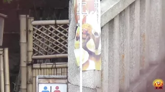 DLEE-049 03 Peephole voyeur: women peeing and farting dirty in public toilet