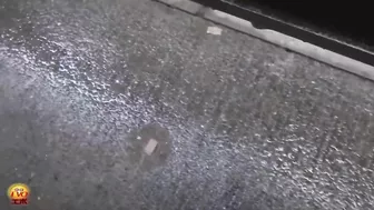 DLEE-205 01 Best of back alley urination voyeur from FILTH and EVO labels