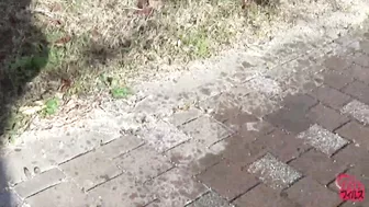 DLFF-038 02 Outdoor wetting voyeur - women leaking piss and throwing away wet underwear
