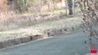 DLFF-038 03 Outdoor wetting voyeur - women leaking piss and throwing away wet underwear