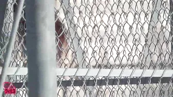 DLFF-045 01 Outdoor pissing footage Triple view with close-up angle