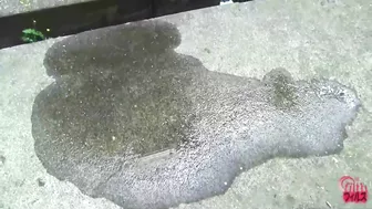 DLFF-054 02 Double view outdoor peeing voyeur. Girls urinating in standing position!