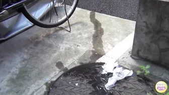 DLSL-078 04 Peeing housewives. Outdoor urination of married women