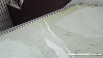 DLFF-017 01 Girls can’t stop peeing after noticing a man with a camera. (Uncensored)