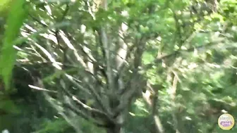 DLSL-117 03 Group of Japanese schoolgirls peeing during excursion