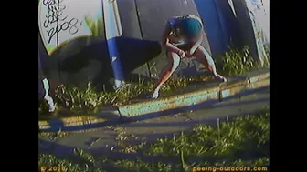 Rock Festival Summary 0004