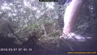 The Galician Gotta 211