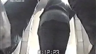 55-1, WDGirls, PissRIP