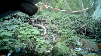 Beer Festival Summary 0040, Voyeur Collection, PissRIP